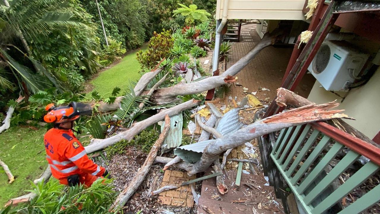 Nambour Tree Removal