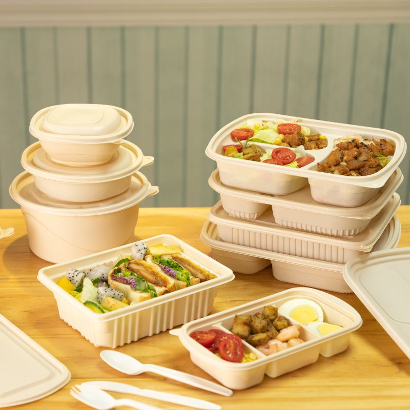 biodegradable food containers
